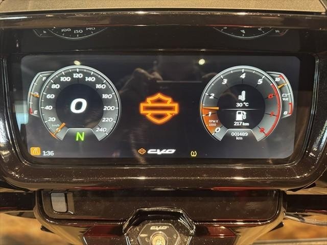 
								Harley-Davidson CVO Street Glide 121 (FLHXSE) full									