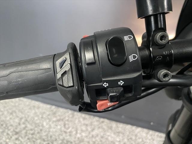 
								Triumph Speed Triple R SE 94 full									
