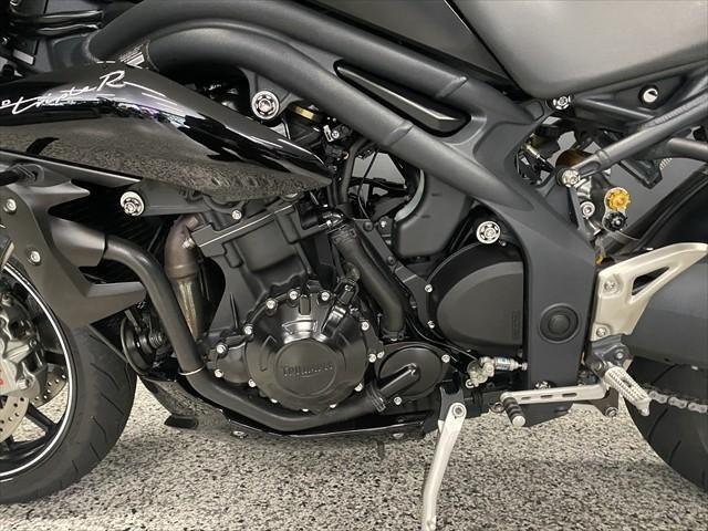 
								Triumph Speed Triple R SE 94 full									
