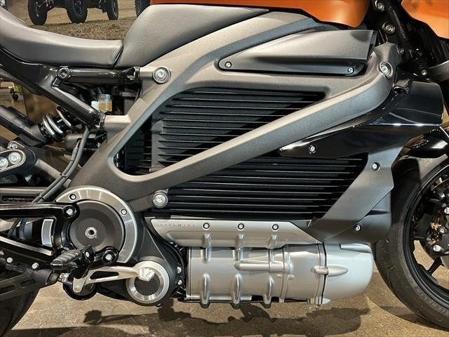 
								Harley-Davidson LiveWire full									
