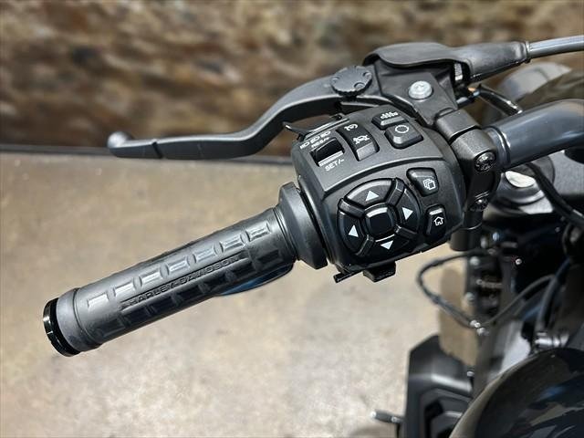 
								Harley-Davidson Sportster S (RH1250S) full									
