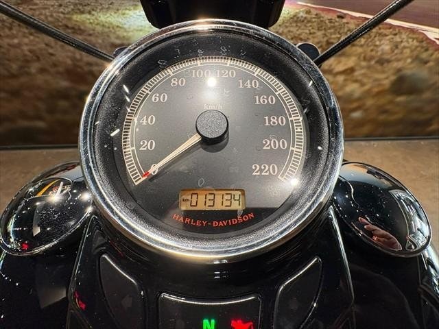 
								Harley-Davidson Softail Slim S (FLSS) full									