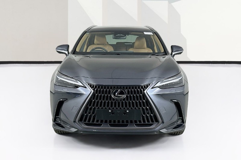 
								Lexus NX350h full									