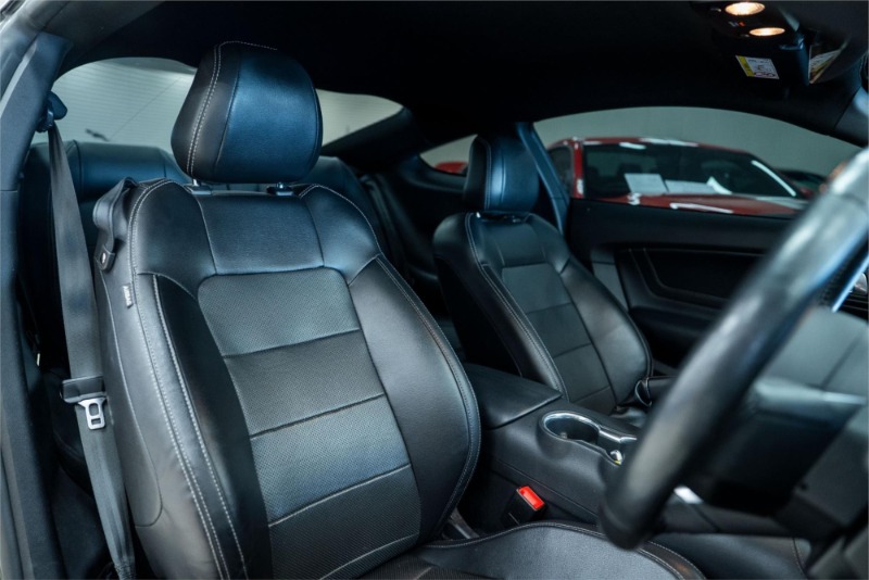 
								2019 Ford Mustang FN GT full									