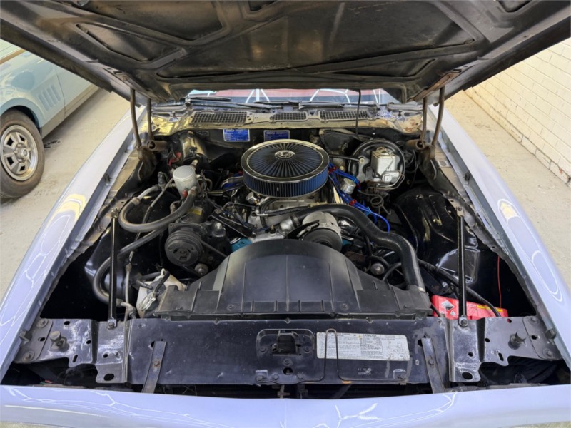 
								Pontiac Firebird Coupe Trans AM (1977) full									