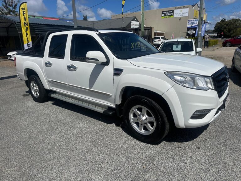 2020 Great Wall Steed