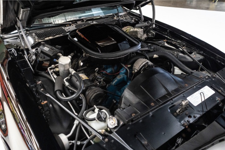 
								1977 Pontiac Transam full									